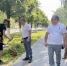 Глава города провел промежуточную проверку поручений по косьбе газонов - Администрация г. Чебоксары