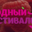 Ягодный фестиваль в очередной раз собрал гостей в Чувашии - ИА Чувашинформ