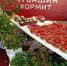 Фото Чувашпотребсоюза - Газета Грани