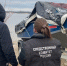 Пассажир катера упал в Волгу и травмировался винтом мотора - ChuvashiaNews.Ru