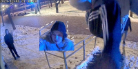 Полицейские нашли подростка в трико с тремя полосками, разбившего видеокамеру в парке - ChuvashiaNews.Ru