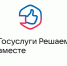 Присоединяйтесь к опросу «Живая или искусственная ель» - Министерство природных ресурсов