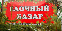 Где купить елку? - Газета Таван Ен