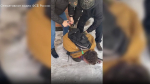 В Чувашии задержали местного жителя за оправдание террористов из московского ТРЦ “Crocus City Hall”