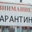 ЛДПР информирует: В одном из районов Чувашии выявили вспышку бешенства - ЛДПР