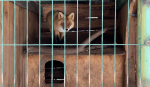 Screenshot_4.jpg