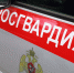 Сотрудники Росгвардии задержали мужчину, подозреваемого в краже сотовых телефонов - Росгвардия