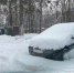 12034480-865a-45f6-8b1c-24c7b8345658.jpg - Администрация Калининского района