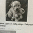 JPG Файл - ОМВД Чувашской Республики