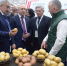 В 17-й раз в Чебоксарах проходит Межрегиональная выставка «Картофель» - Единая Россия