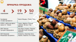 - Запасаемся и дегустируем:  Картофель-2025