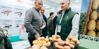 Тысячи гостей, рекорд ярмарки-продажи и соглашение: в Чувашии открылась выставка «Картофель-2025» - Минсельхоз Чувашии
