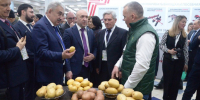 Депутаты принимают участие в XVII Межрегиональной выставке «Картофель-2025» - Государственный Совет