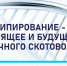 Семинар - Будущее молочного скотоводства обсудят в Чувашском ГАУ:  развитие АПК - Газета Грани