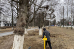 В Чебоксарах продолжаются работы по уборке случайного мусора и сгребанию травы и листьев