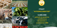 Ветераны и участники СВО в Чувашии смогут получить до 5 млн рублей на развитие агробизнеса - Минсельхоз Чувашии