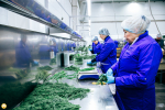 В Чувашии среднемесячная зарплата работников АПК выросла на 15,8% и составила 55 тысяч рублей