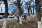 В парках,скверах и площадях города Чебоксары продолжаются текущие работы