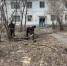В Чебоксарах проводятся работы по спилу сухостойных и аварийных деревьев - Администрация г. Чебоксары