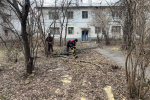 В Чебоксарах проводятся работы по спилу сухостойных и аварийных деревьев