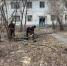 В Чебоксарах проводятся работы по спилу сухостойных и аварийных деревьев - Администрация Калининского района