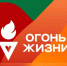 В Чебоксарах пройдет Всероссийская эстафета факела "Огонь жизни" - Чебоксары.ру