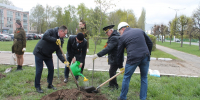 В Год Победы и патриотизма в Чебоксарах высадили Аллею трудовой доблести - Администрация Калининского района