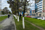 В Чебоксарах продолжаются посадка цветов и покос газонов