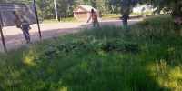 В Чебоксарах продолжается покос городских территорий - Администрация г. Чебоксары