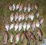 JPG Файл - ОМВД Чувашской Республики