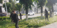 В Чебоксарах продолжается июньский покос - Администрация г. Чебоксары
