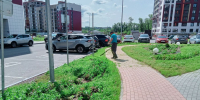 В Чебоксарах на придомовых территориях продолжается покос травы - Администрация г. Чебоксары