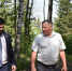 В Ибресинском округе благоустраивают Сквер Памяти и Славы - Государственный Совет