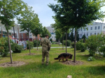 Росгвардейцы Чувашии обеспечили правопорядок на мероприятиях в День России