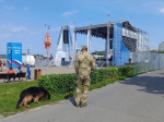 Росгвардейцы Чувашии обеспечили правопорядок на мероприятиях в День России