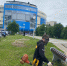 В Чебоксарах продолжается июньский покос территории города - Администрация г. Чебоксары