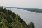 IMG_4463.JPG