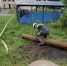 5413845052029007756.jpg - Администрация Калининского района