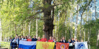 Поддержите Шумерлинский дуб! - Министерство природных ресурсов