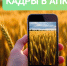 В Чувашском ГАУ будут организованы курсы повышения квалификации учителей в рамках проекта "Кадры в АПК" - Чувашский ГАУ