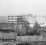 Ельниково, 1978-79 годы. Фото Виталия Никифорова - Почему в Ельникове не пьют шампанское:  Это наша с тобой история Новочебоксарску - 65 - Газета Грани