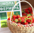80% участников «Ягодного фестиваля Чувашии» – выпускники «Школы фермера»! - Государственный аграрный университет