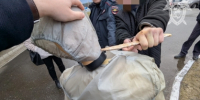 Житель Шумерли признан виновным в покушении на убийство горожанина - Следственное управление