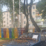 5278376066911697090.jpg - Администрация Калининского района