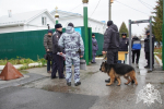 Росгвардейцы Чувашии обеспечили безопасность крестного хода в честь Казанской иконы Божией Матери