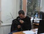 В лесах Чувашской республики угрозы возникновения очагов зеленой дубовой и боярышниковой листоверток не ожидается