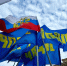 img - ЛДПР
