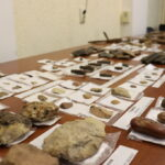 На заседании круглого стола археологами ЧГИГН представлены итоги полевых исследований
