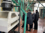 Будущие аграрии на Чебоксарском элеваторе: уроки от ветеранов и знакомство с производством
