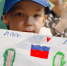 img - ЛДПР
